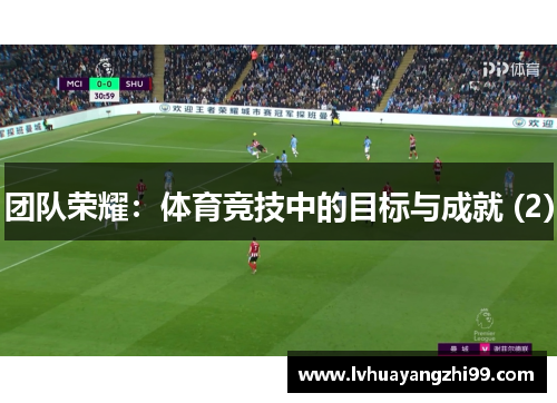 团队荣耀：体育竞技中的目标与成就 (2)