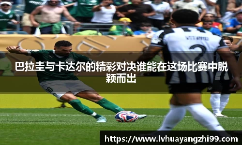 竞技宝